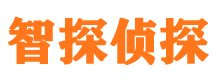 庆城侦探公司